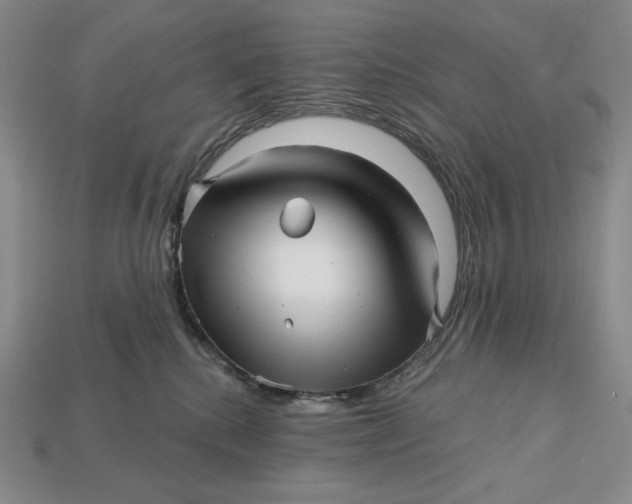 X0000113120280200909181655