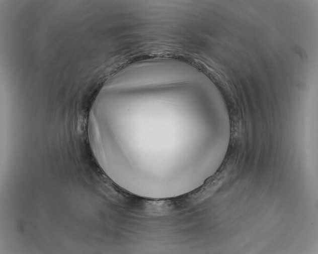 X0000113120281200909181655