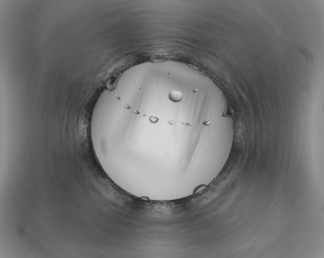 X0000113120282200909181655