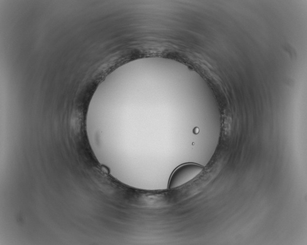 X0000113120283200909181655