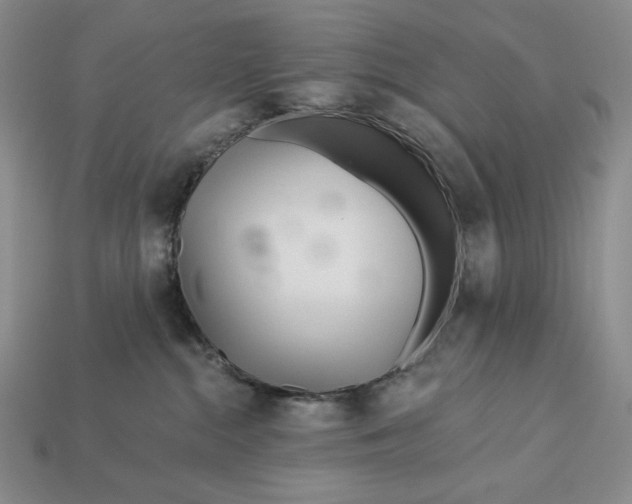 X0000113120284200909181655