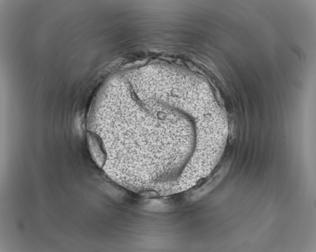 X0000113120285200909181655