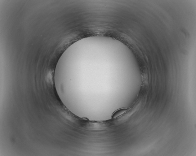 X0000113120286200909181655