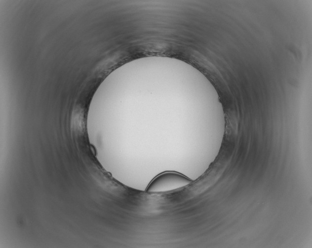 X0000113120287200909181655