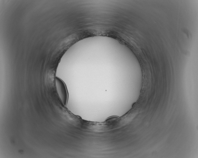 X0000113120288200909181655