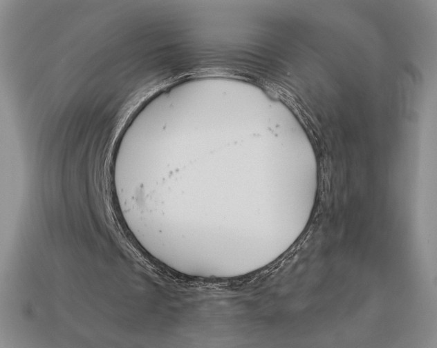 X0000113120289200909181654