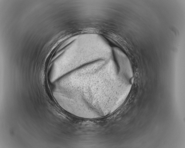 X0000113120290200909181654