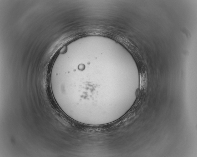 X0000113120291200909181654