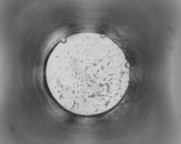 X0000113120293200909181654