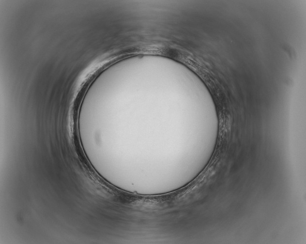 X0000113120294200909181654