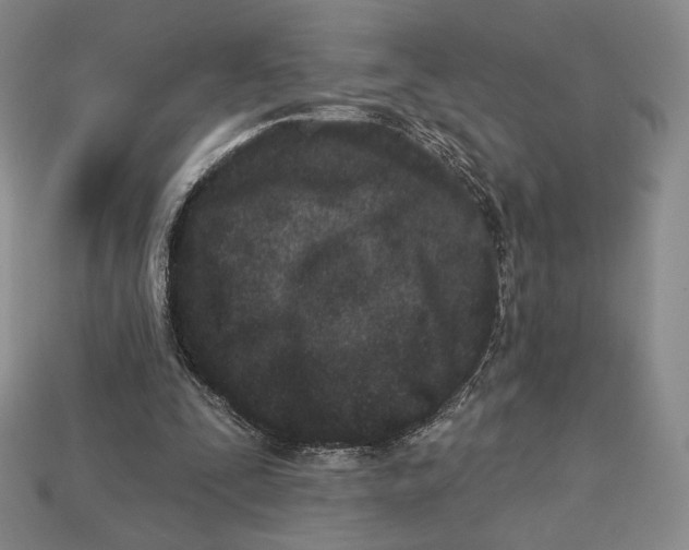 X0000113120295200909181654