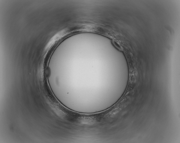 X0000113120296200909181654