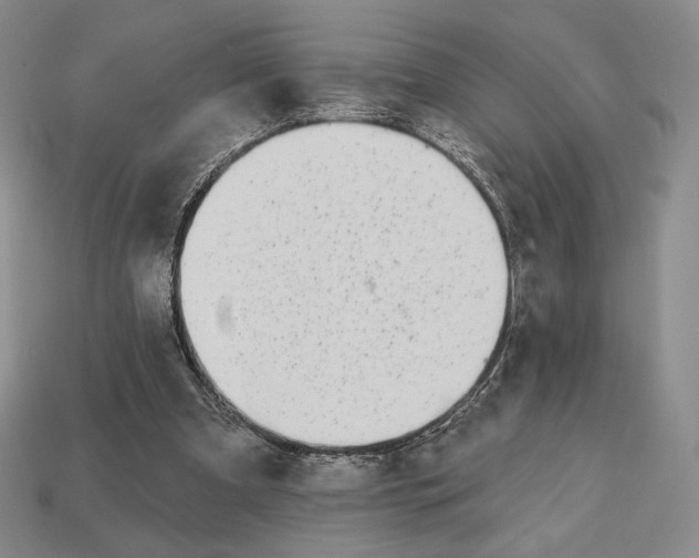 X0000113120297200909181654