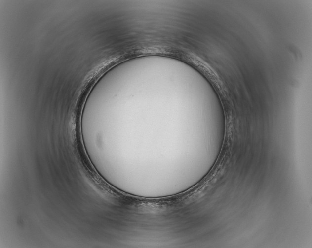 X0000113120298200909181654