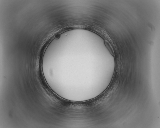 X0000113120299200909181654