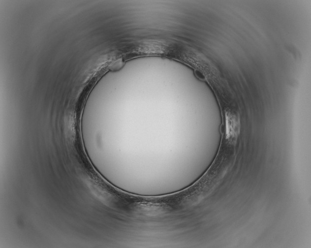 X0000113120300200909181654