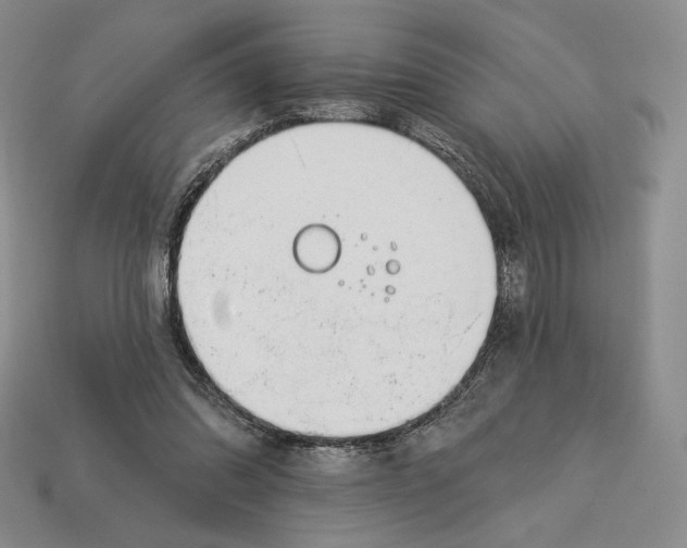 X0000113120302200909181654