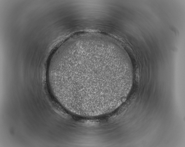 X0000113120303200909181654