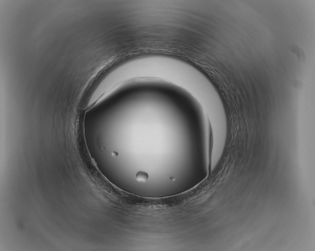 X0000113120304200909181654