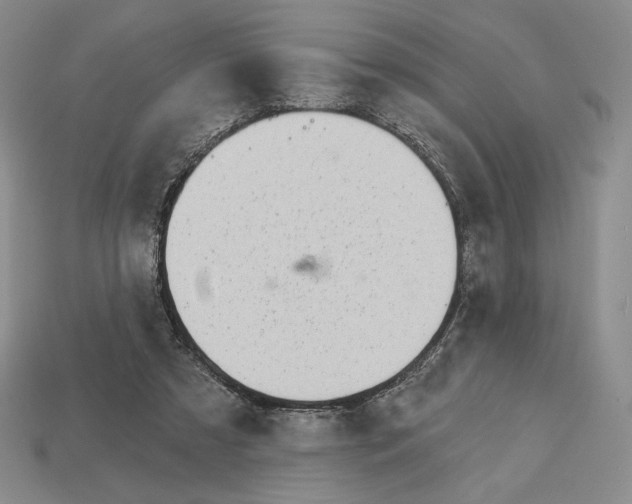 X0000113120305200909181654