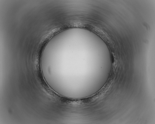 X0000113120306200909181654