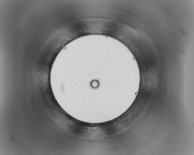 X0000113120309200909181654