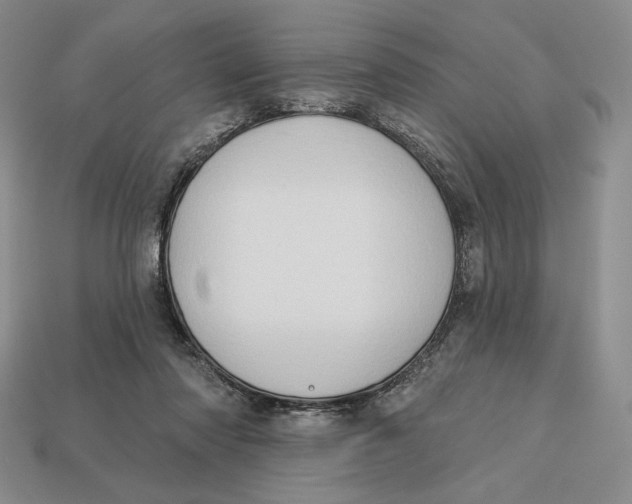 X0000113120310200909181654