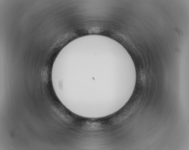 X0000113120311200909181654