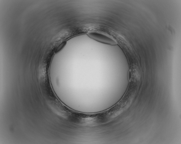 X0000113120312200909181654