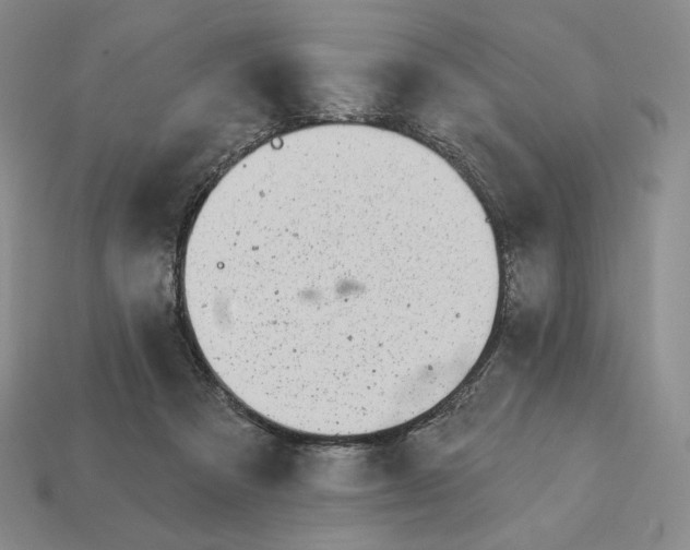 X0000113120313200909181654