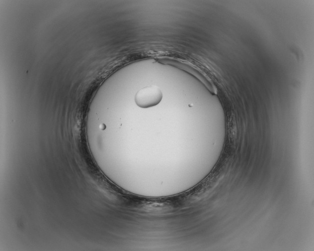 X0000113120315200909181654