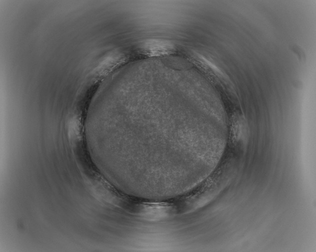 X0000113120316200909181654