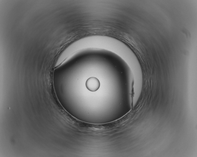 X0000113120317200909181654