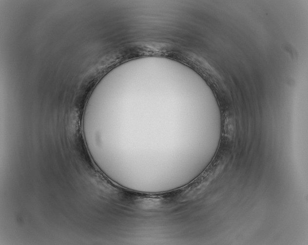 X0000113120318200909181654