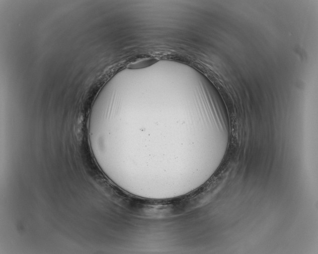 X0000113120319200909181653