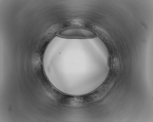 X0000113120320200909181653