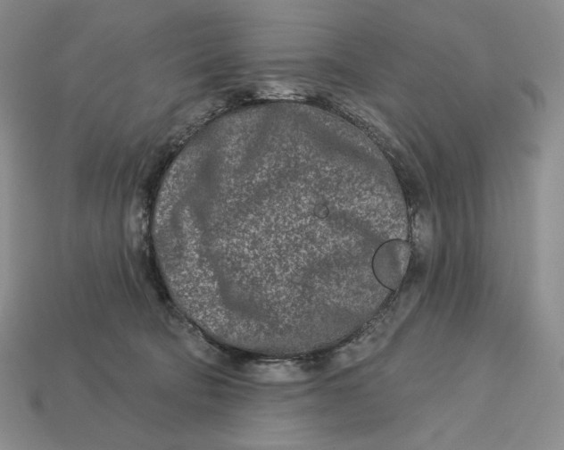 X0000113120322200909181653