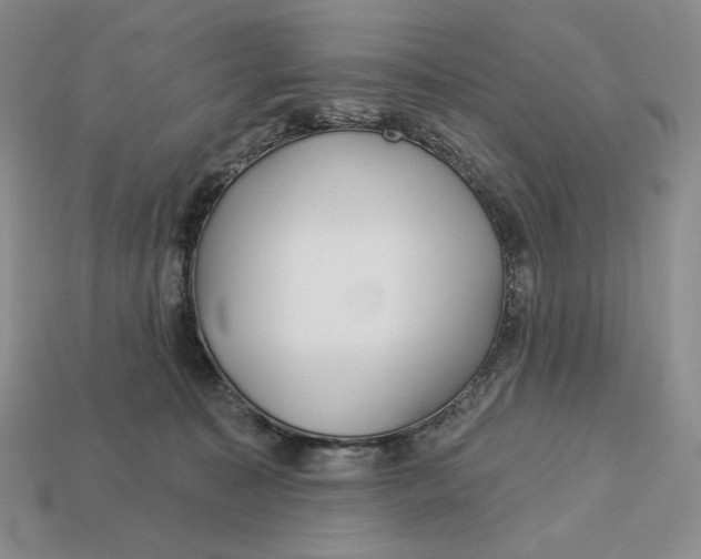 X0000113120323200909181653