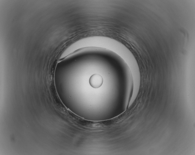 X0000113120324200909181653