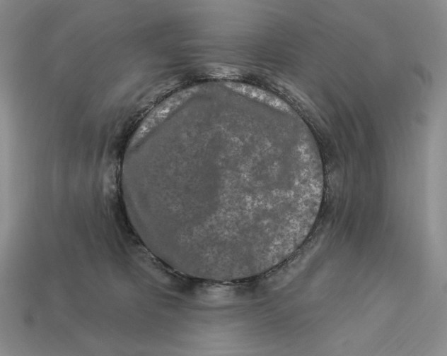 X0000113120325200909181653