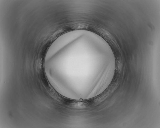 X0000113120326200909181653