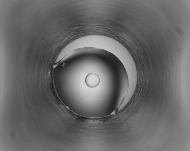 X0000113120327200909181653