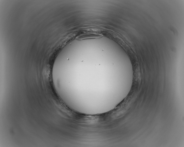 X0000113120328200909181653