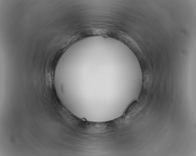 X0000113120329200909181653