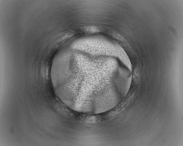 X0000113120330200909181653