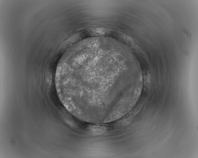 X0000113120331200909181653