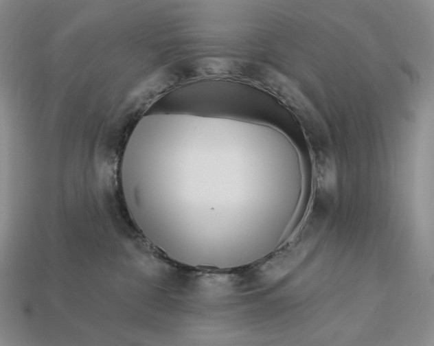 X0000113120332200909181653