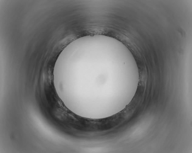 X0000113120334200909181653