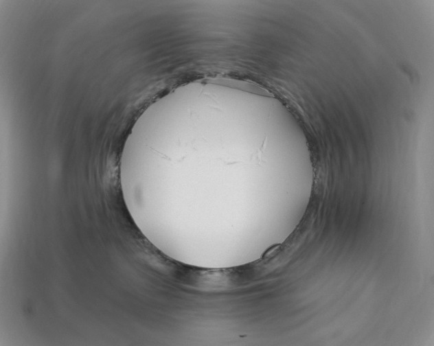 X0000113120335200909181653