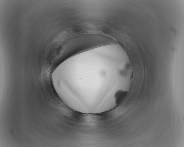 X0000113120336200909181653